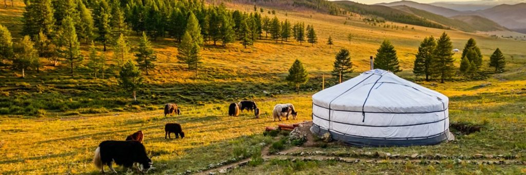 Юрты в Монголии