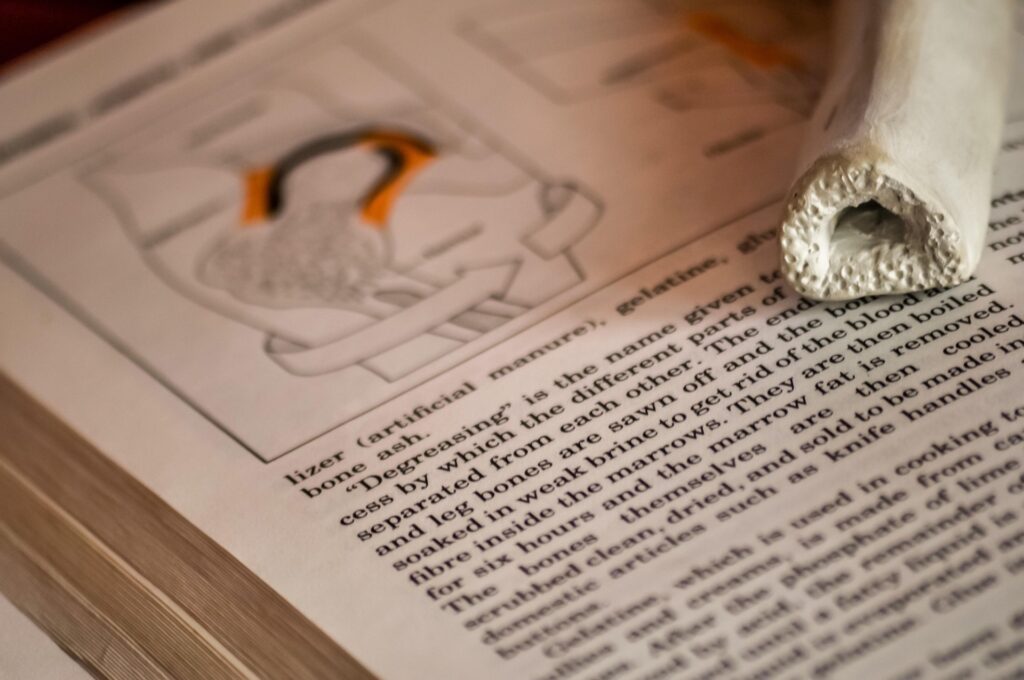 Медицинская книга и кость