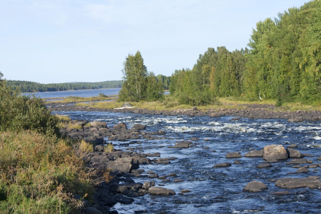 река в камнях