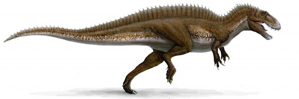 акрокантозавр - род гигантских хищных динозавров, живший в нижнемеловую эпоху 