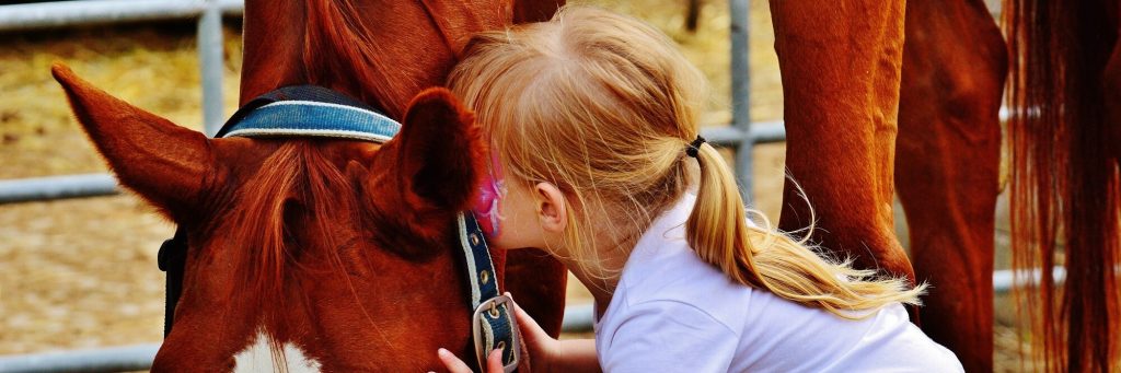 Иппотерапия - девочка и лошадь