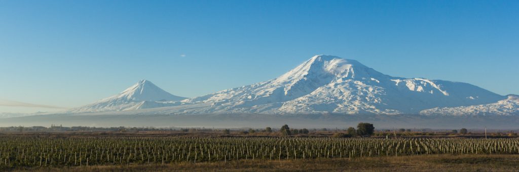 Гора Арарат и виноградник