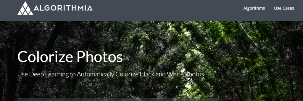 сайт Colorise для раскрашивания черно-белых фотографий