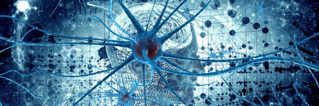 нейронные связи в нашем мозге создают целую сеть