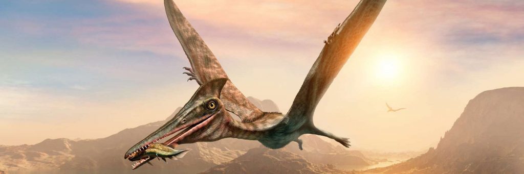 Птерозавр летит в клюве с рыбой