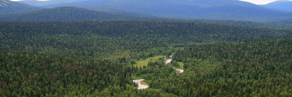 Девственные леса Коми - Природные памятники России