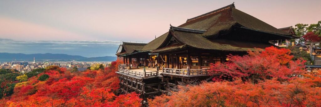 Япония. красные клены Киото