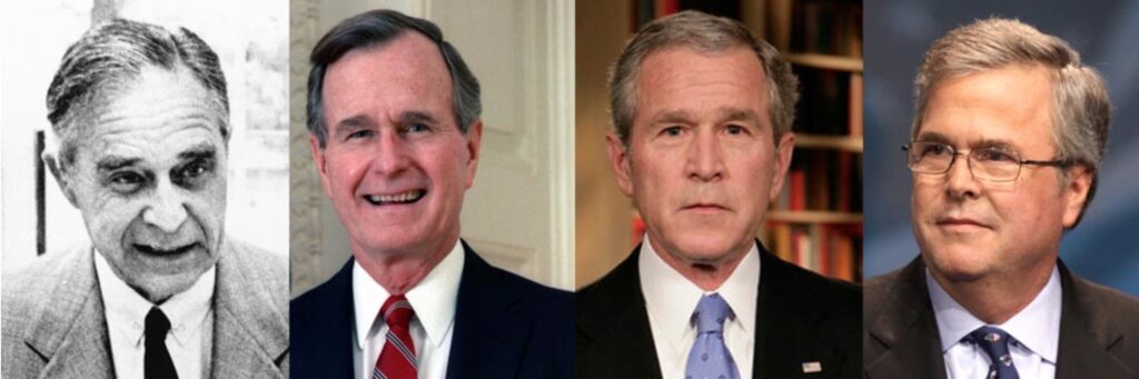 Династия Бушей