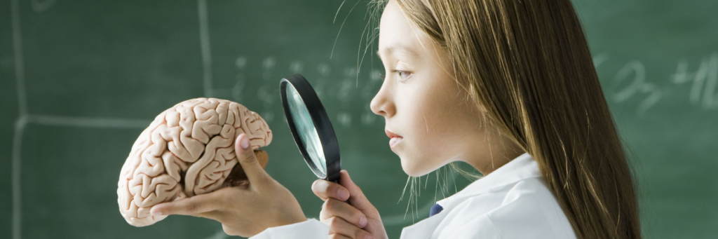 девочка изучает мозг человека