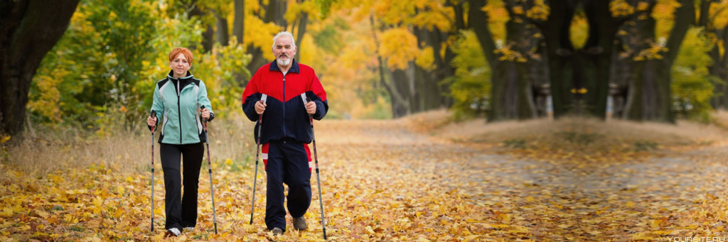 Оздоровительная ходьба для пожилых людей тренирует когнитивные  способности и развивает мозг