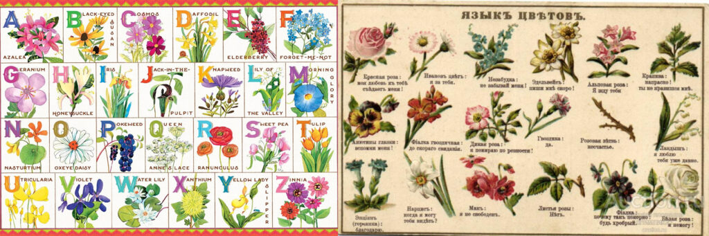 цветочная азбука и язык цветов, 19 век
