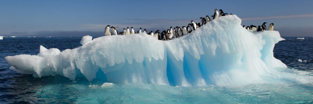 Антарктида айсберг пингвины
