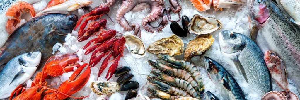 Красивые морепродукты для питания