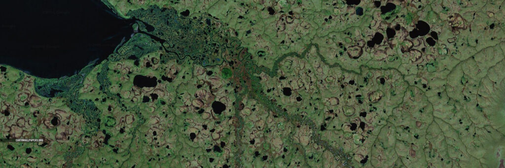 Васюганские болота из космоса