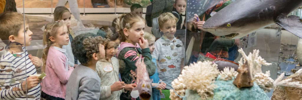 Экскурсия школьников в Дарвиновский музей в Москве