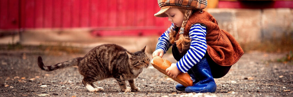 доброта девочка кормит кота хлебом
