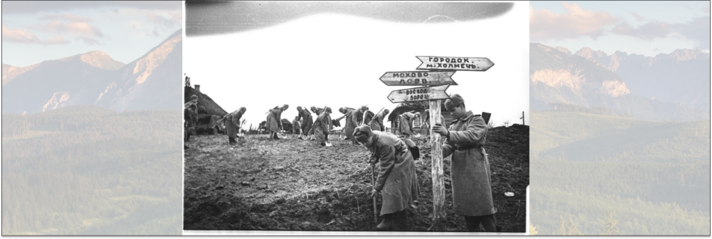 Освобождение Беларуси в ходе операции «Багратион»