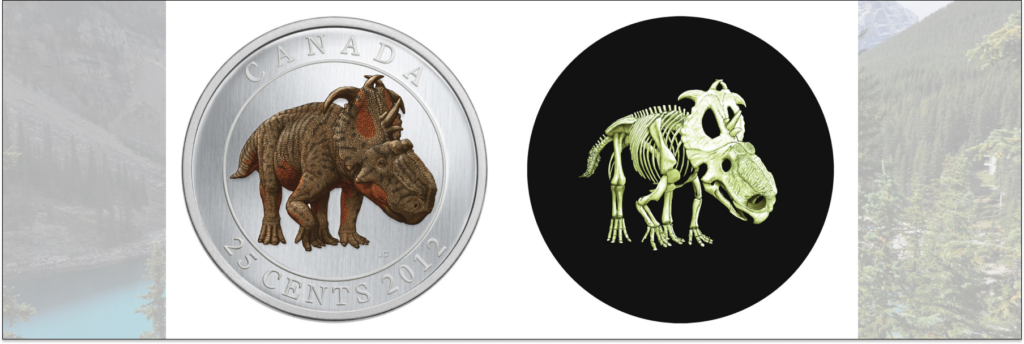 Канадская светящаяся монета
