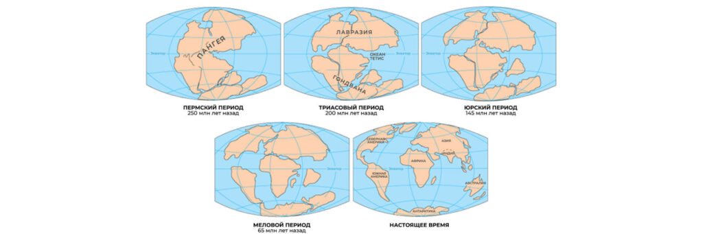 Пангея Лавразия и Гондвана - материки древней Земли