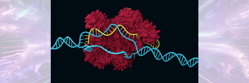 Визуализация действия системы CRISPR-Cas. 